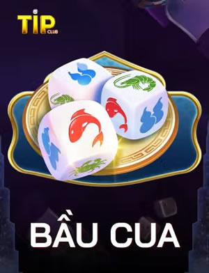 Tam Cúc Miền Bắc